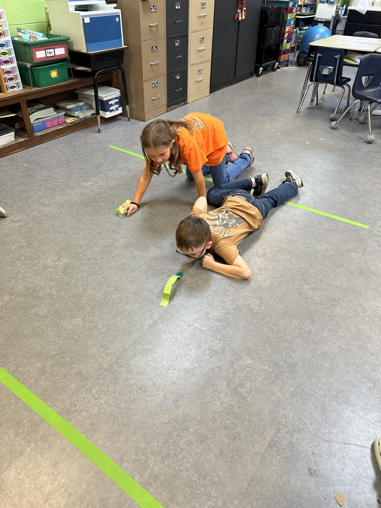 worm racing