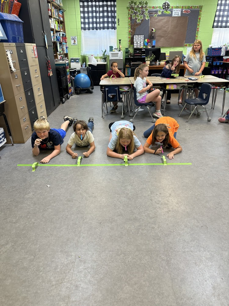 worm racing