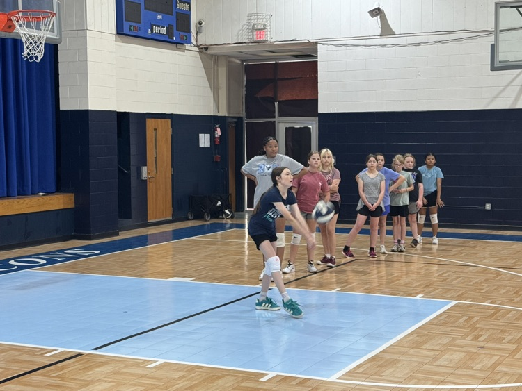 Volleyball Tryouts