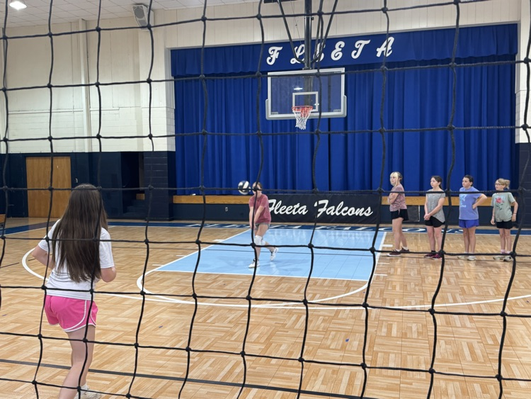 Volleyball Tryouts