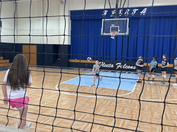 Volleyball Tryouts
