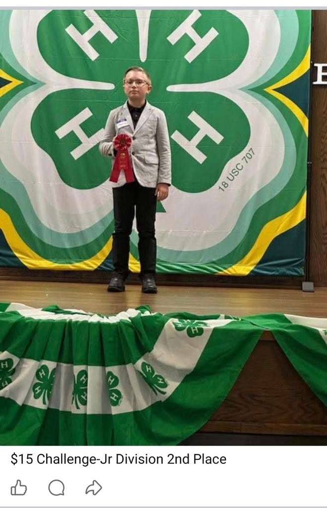 4H Regional Winner