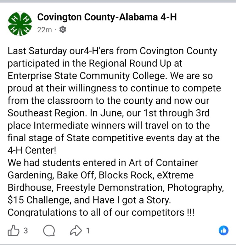 4H Regional Winner
