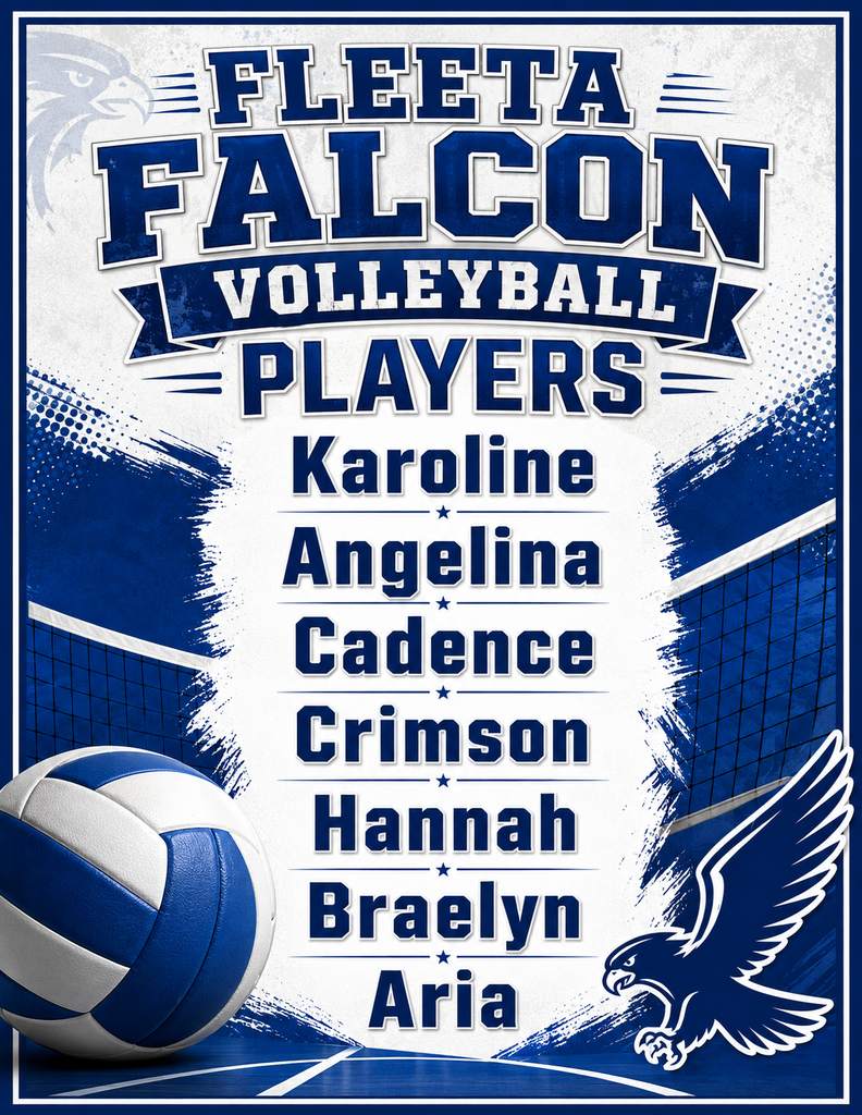 volleyball players