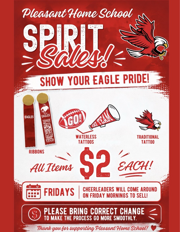 spirit sales