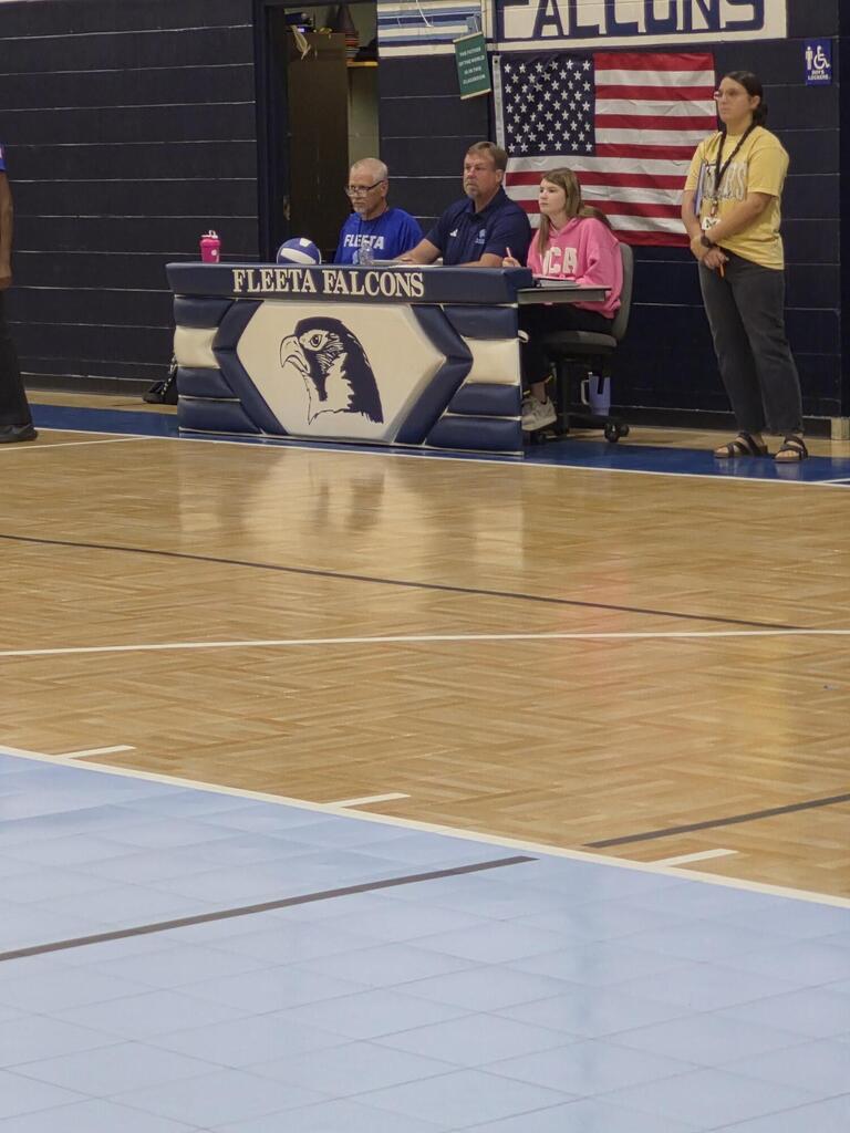 volleyball game