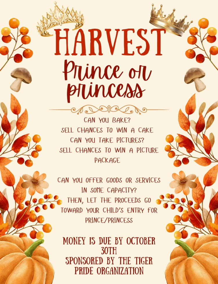 Fall Festival