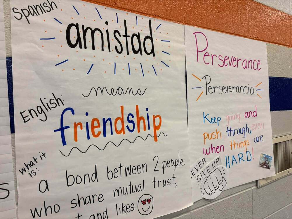 Amistad means Friendship