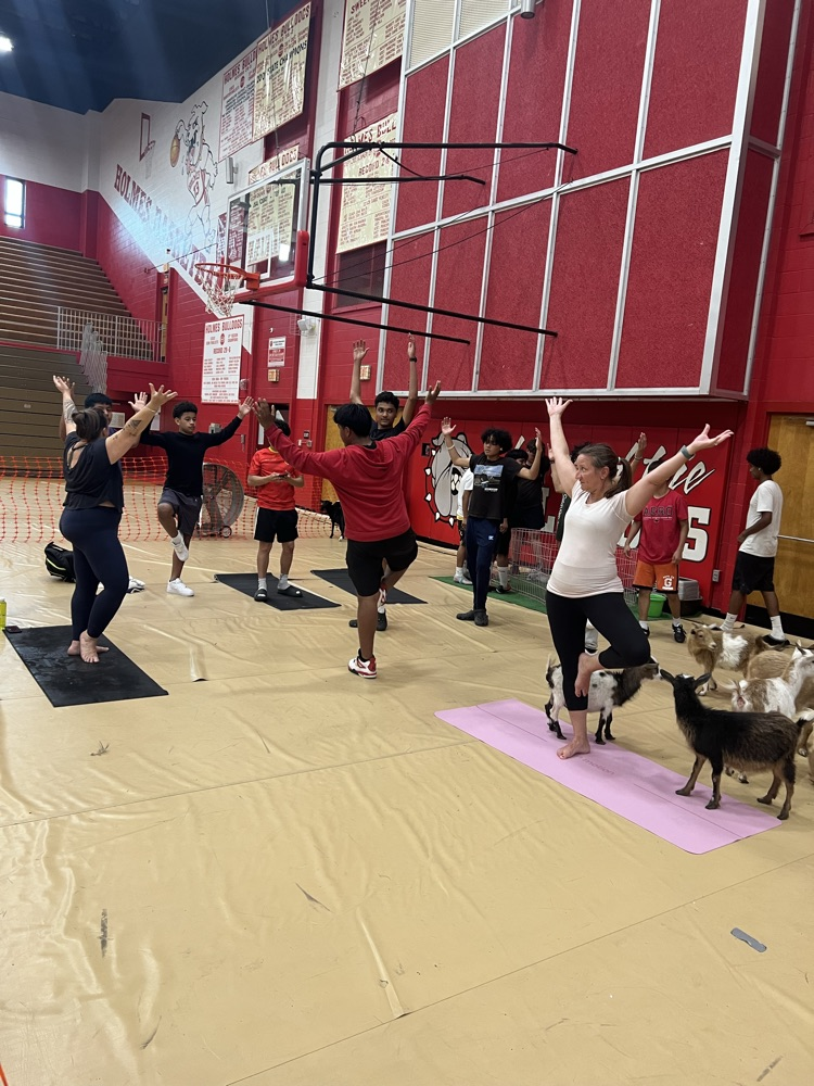 Mind, Body, and Wellness Night 