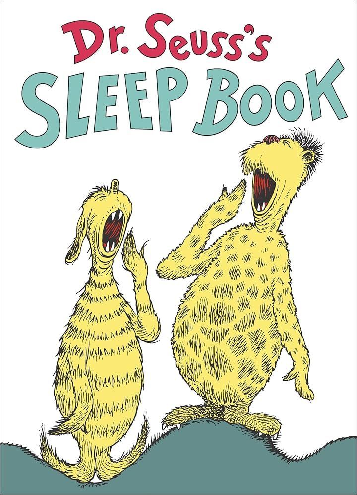 The Sleep Book