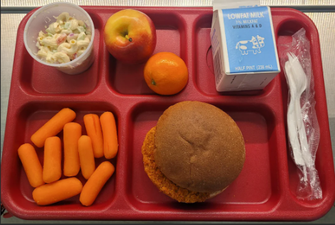 school lunch on red tray; clockwise from top: apple, tangerine, lowfat milk in carton, flatware in cello-pack, spicy chicken patty on bun, baby carrots, macaroni salad in cup