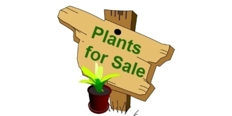 Plants for Sale