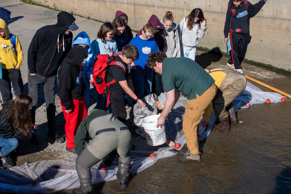 students working in the river