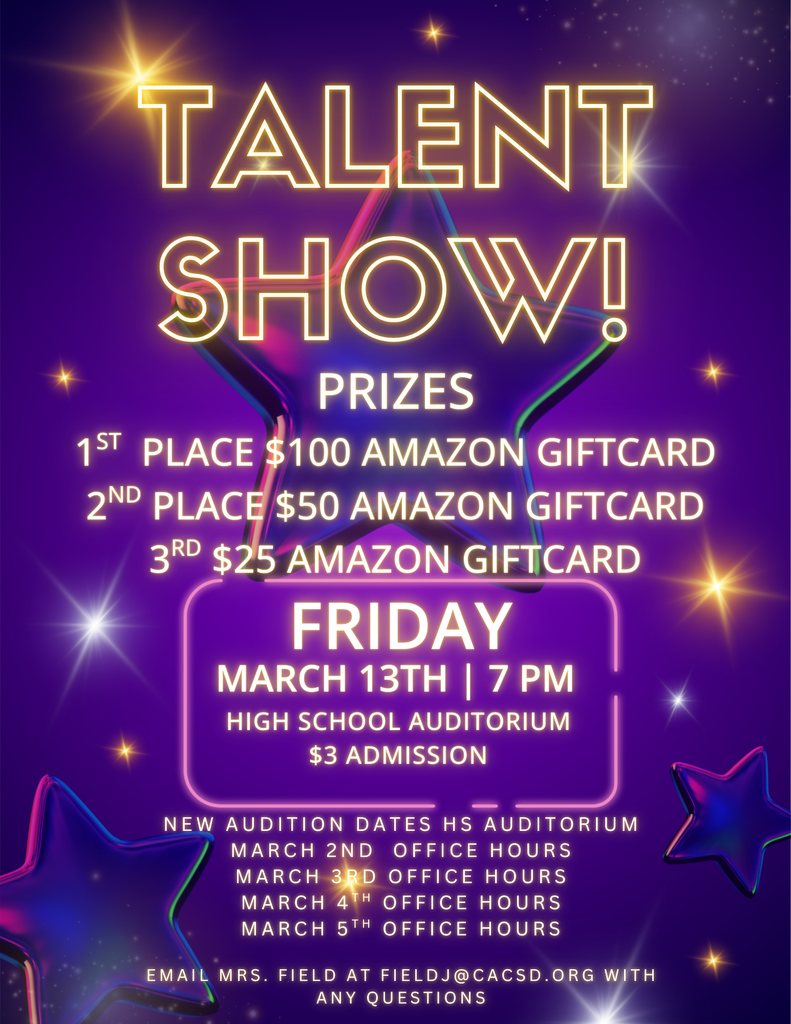 NHS Talen Show 2026 (3)