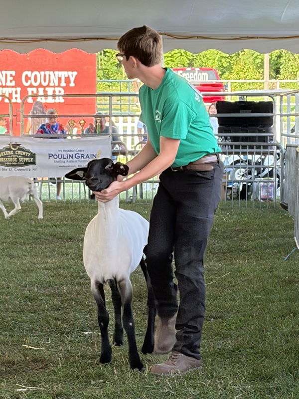 greene county
