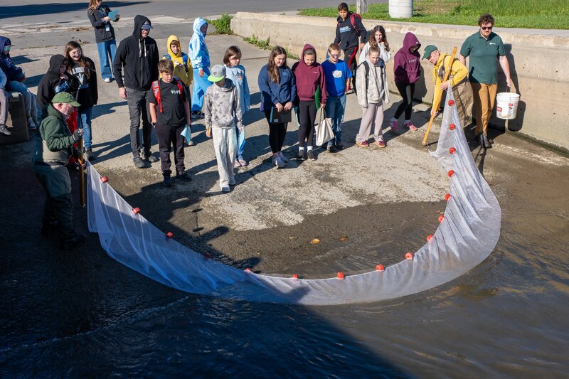 river workers bringing in fishing net to show students