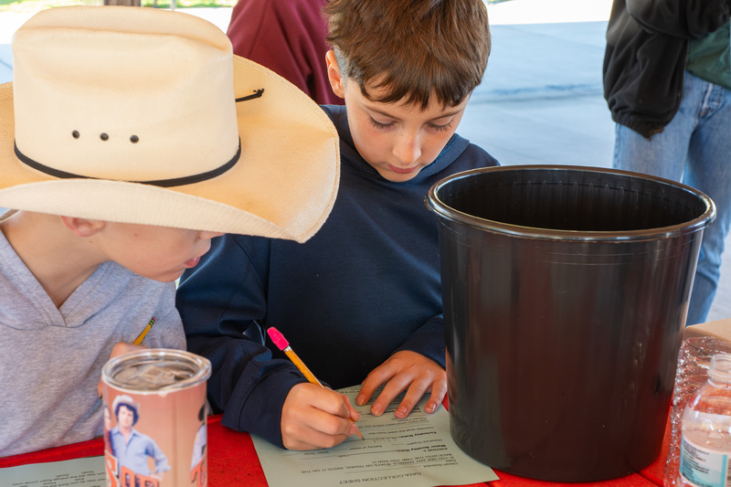 students writing