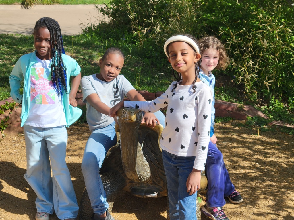 Zoo trip with the 2nd grade