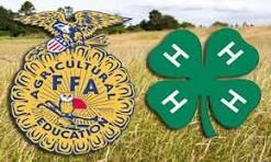 4h and FFA