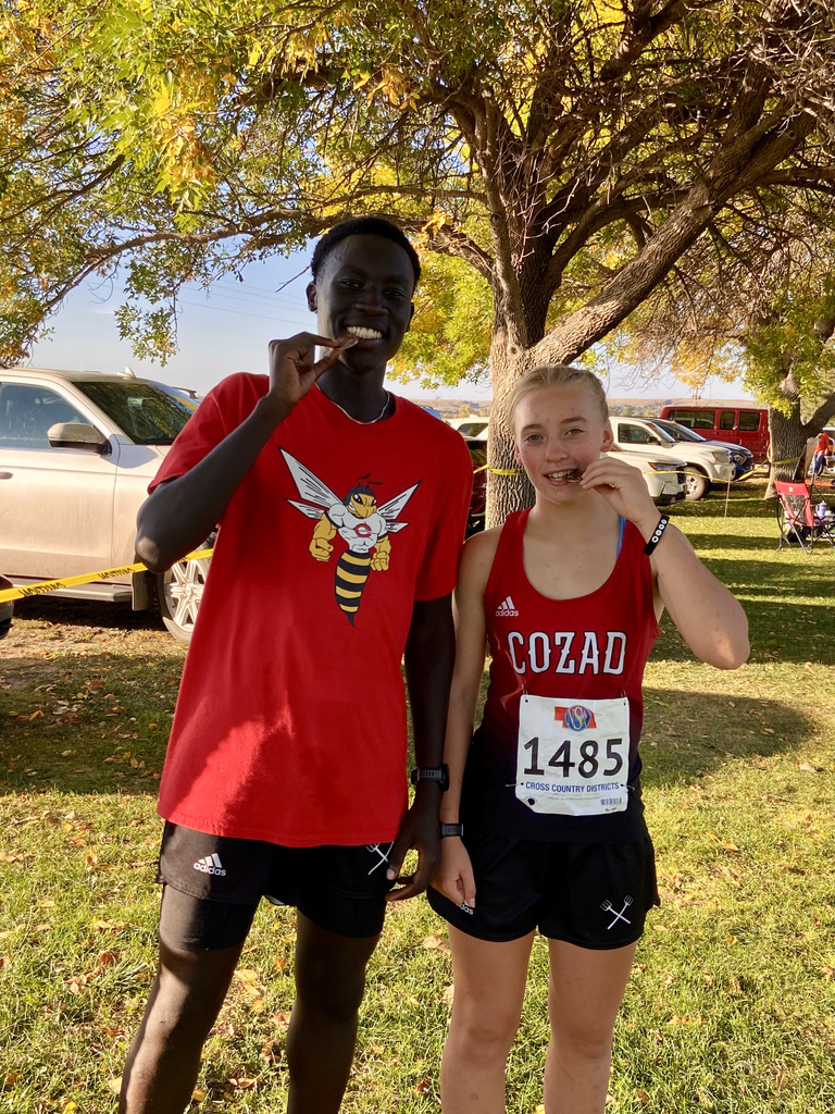 Cross Country State Qualifiers 2025