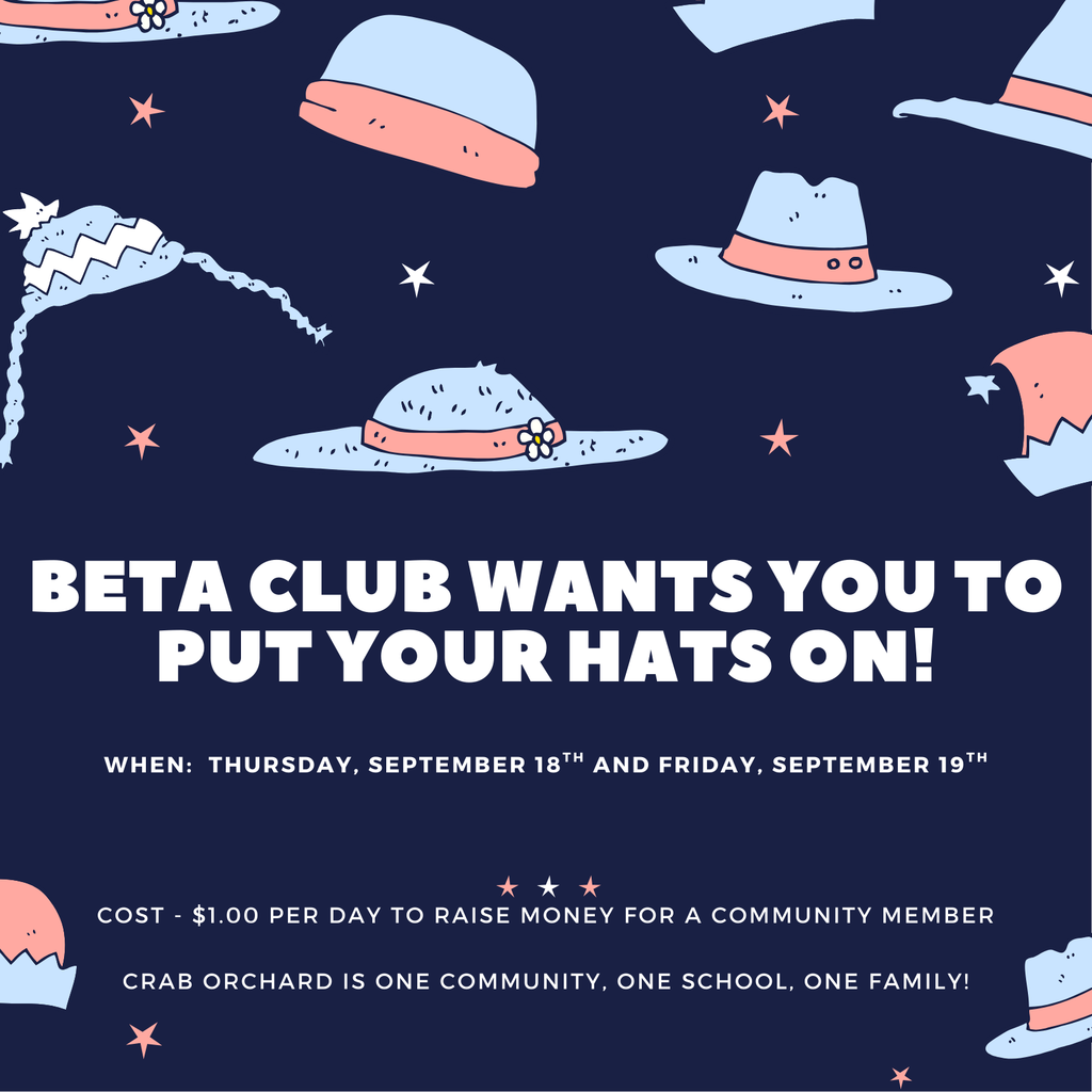 BETA hat day with navy blue background and light blue/pink hats