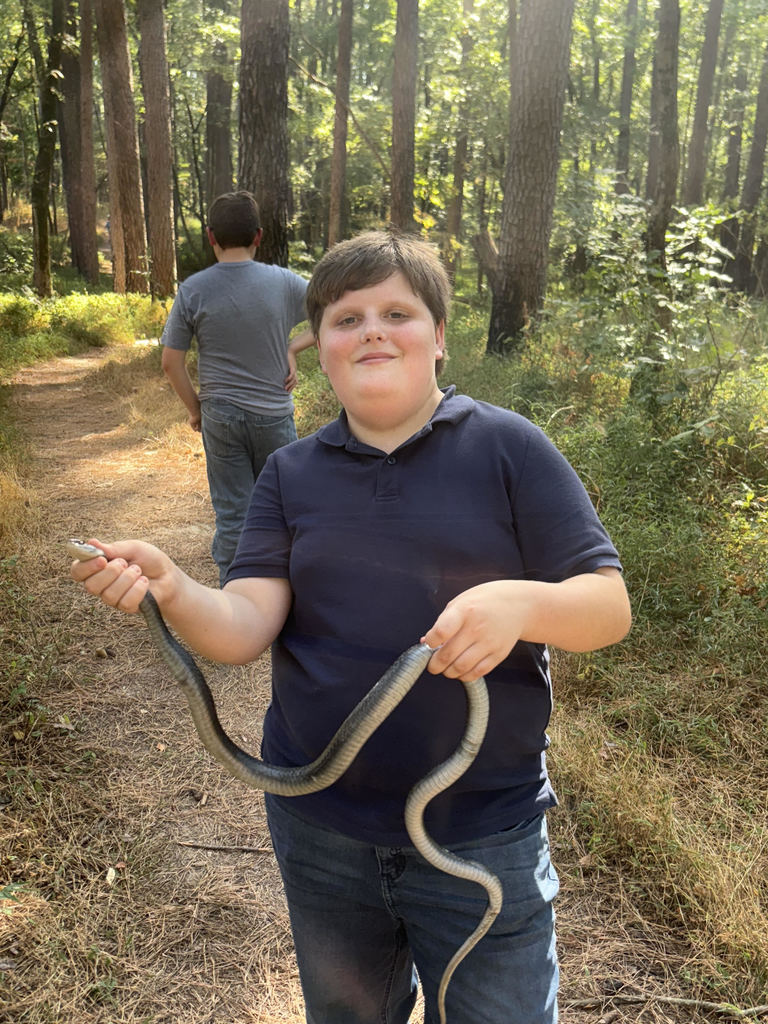 enrichment snake fun