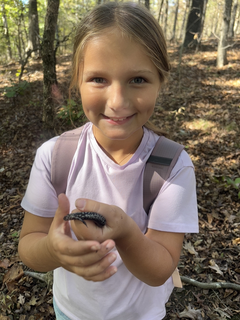 young girl wearing a pink shirt holding a small salamander