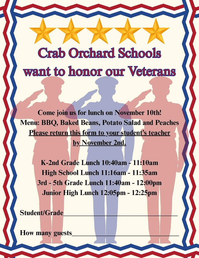 flyer for veterans day lunch with 5 stars and 3 saluting servicemen