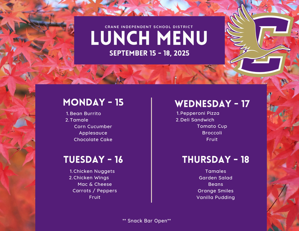 lunch 