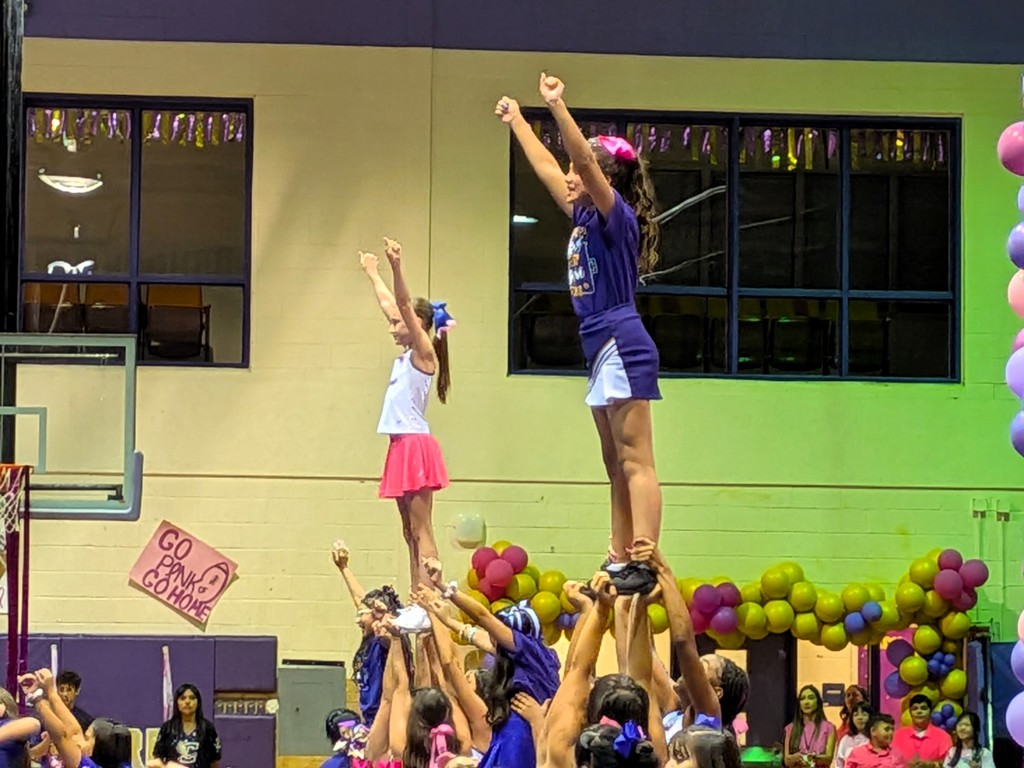 Crane Pink Out Pep Rally