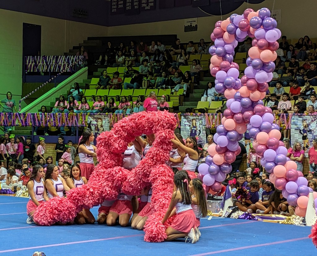 Crane Pink Out Pep Rally