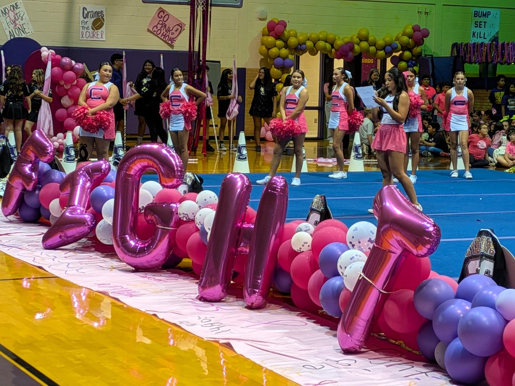 Crane Pink Out Pep Rally