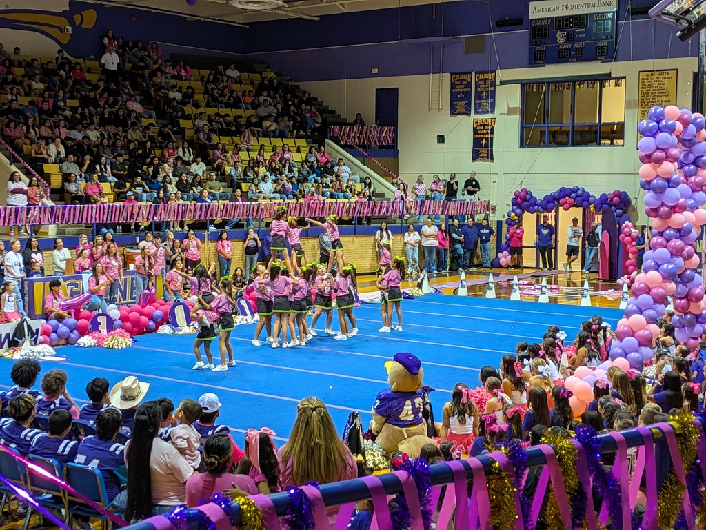 Crane Pink Out Pep Rally