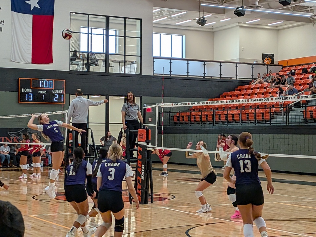 Lady Bird Volleyball 
