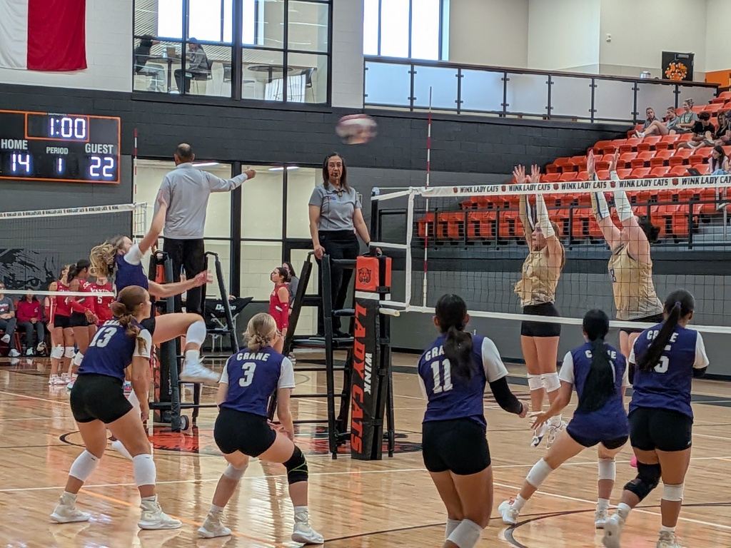 Lady Bird Volleyball 