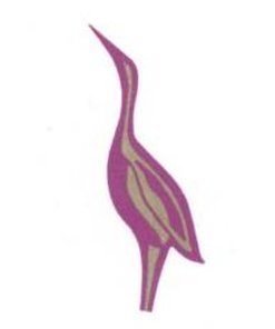 Enrollment Information