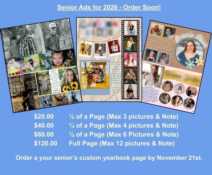 senior ad sales