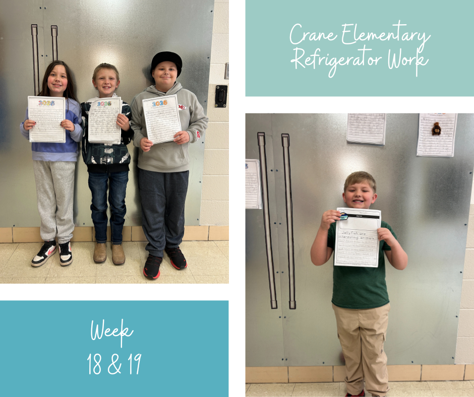 Week 18 & 19 Fridge Work