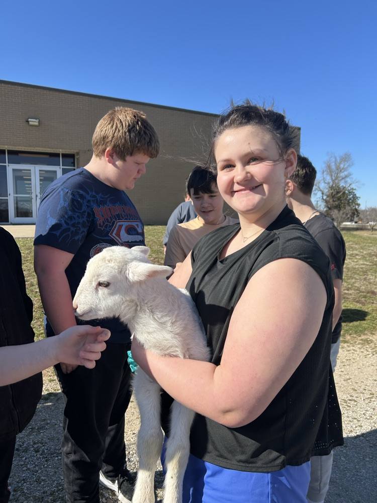 Addison holding a sheep