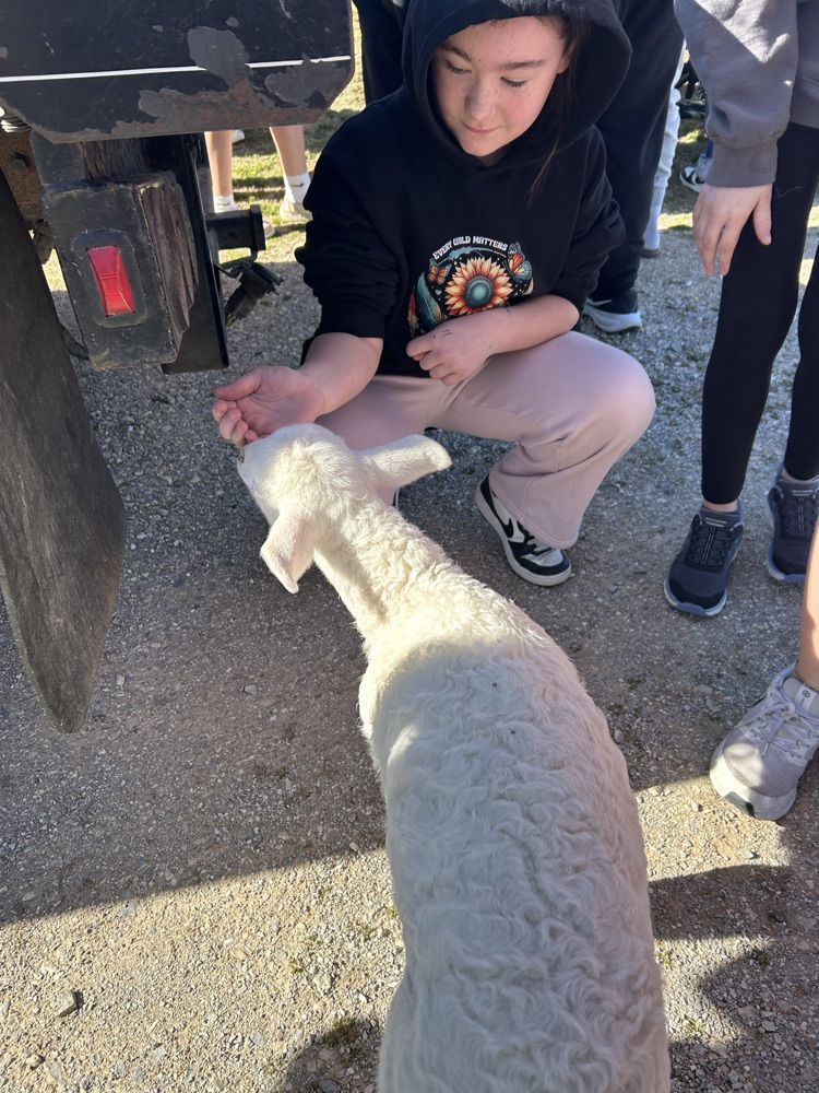 Emily petting a sheep