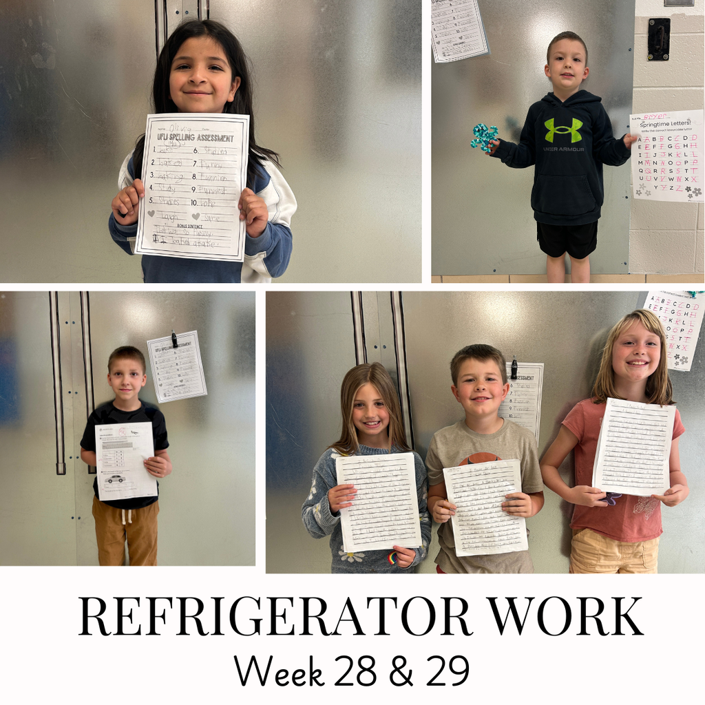 Fridge Work Week 28 & 29