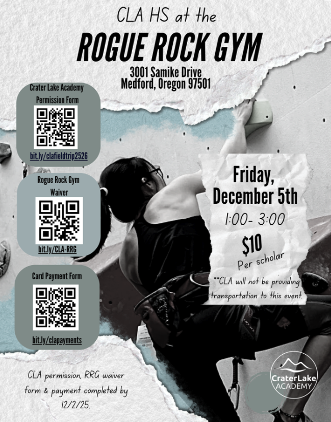 Rogue Rock Gym Flyer