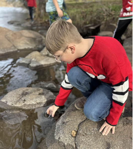 Scholar releasing salmon fry