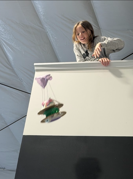 Scholar creating a project