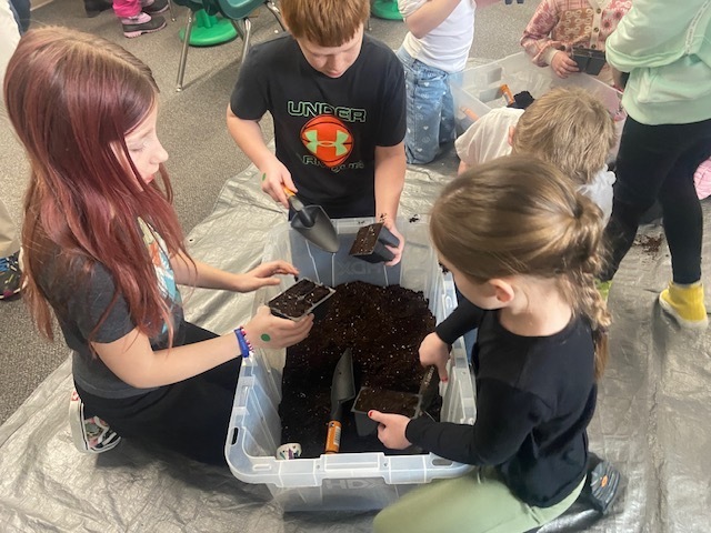 buddy classes local pollinators