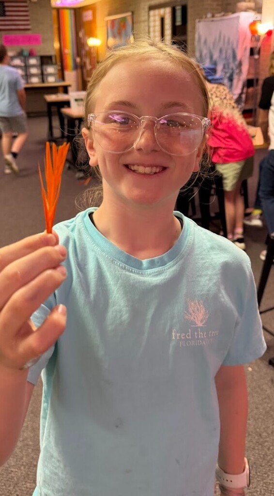stem lesson
