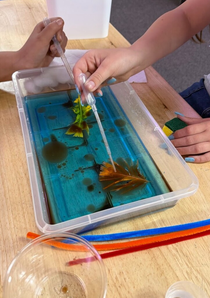stem lesson