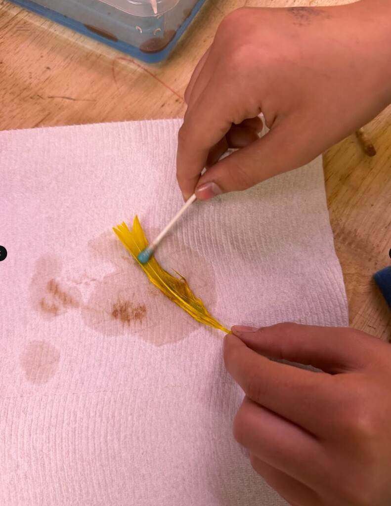 stem lesson