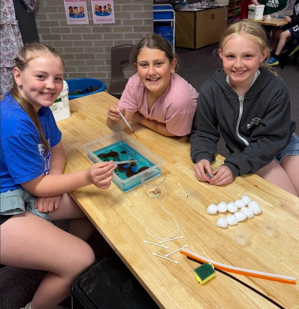 stem lesson