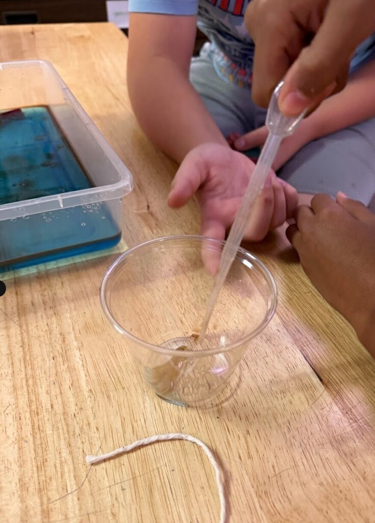 stem lesson